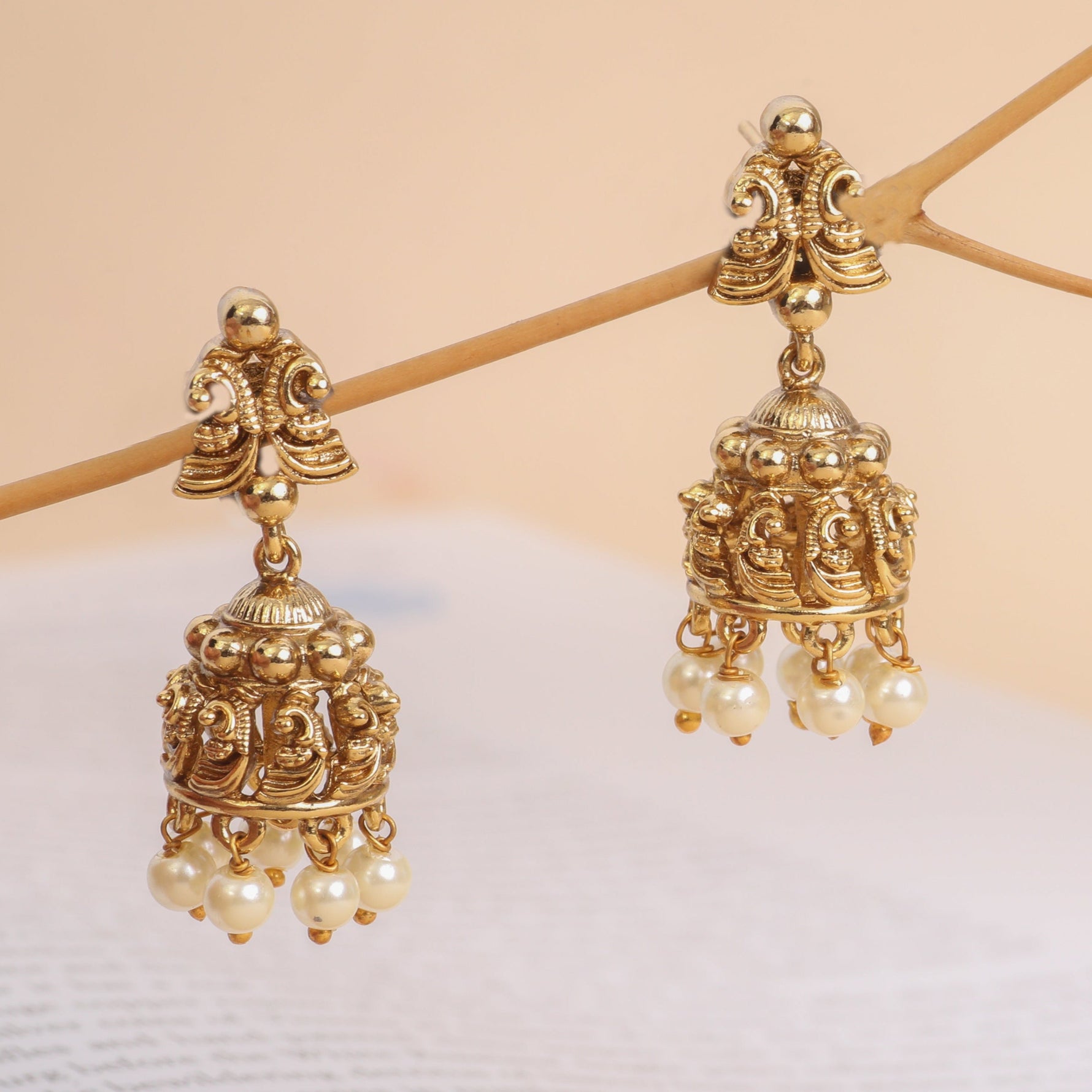 Dhivara Antique Coin Long Necklace Set