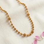 Navika Delicate Antique Necklace