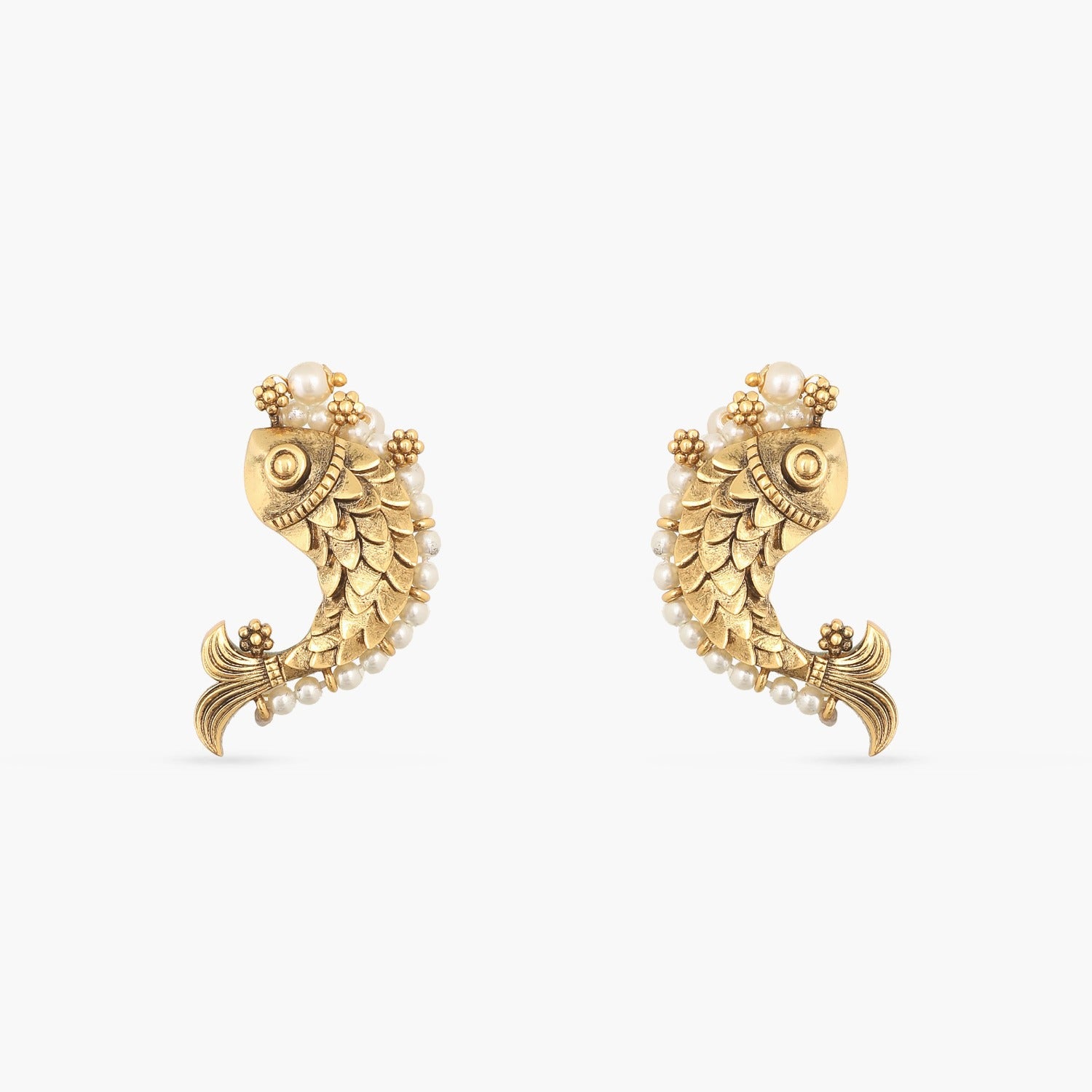 Oxidized Golden Waliya Earrings  Amazel Designs